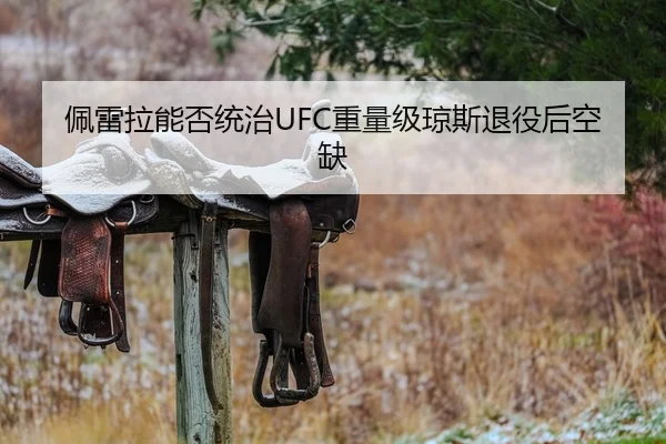 佩雷拉能否统治UFC重量级琼斯退役后空缺