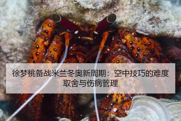 xu-meng-tao-bei-zhan-mi-lan-dong-ao-xin-zhou-qi-kong-zhong-ji-qiao-de-nan-du-qu-she-yu-shang-bing-guan-li-3-999.jpg