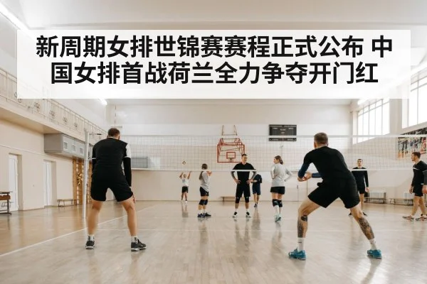 volleyball training court